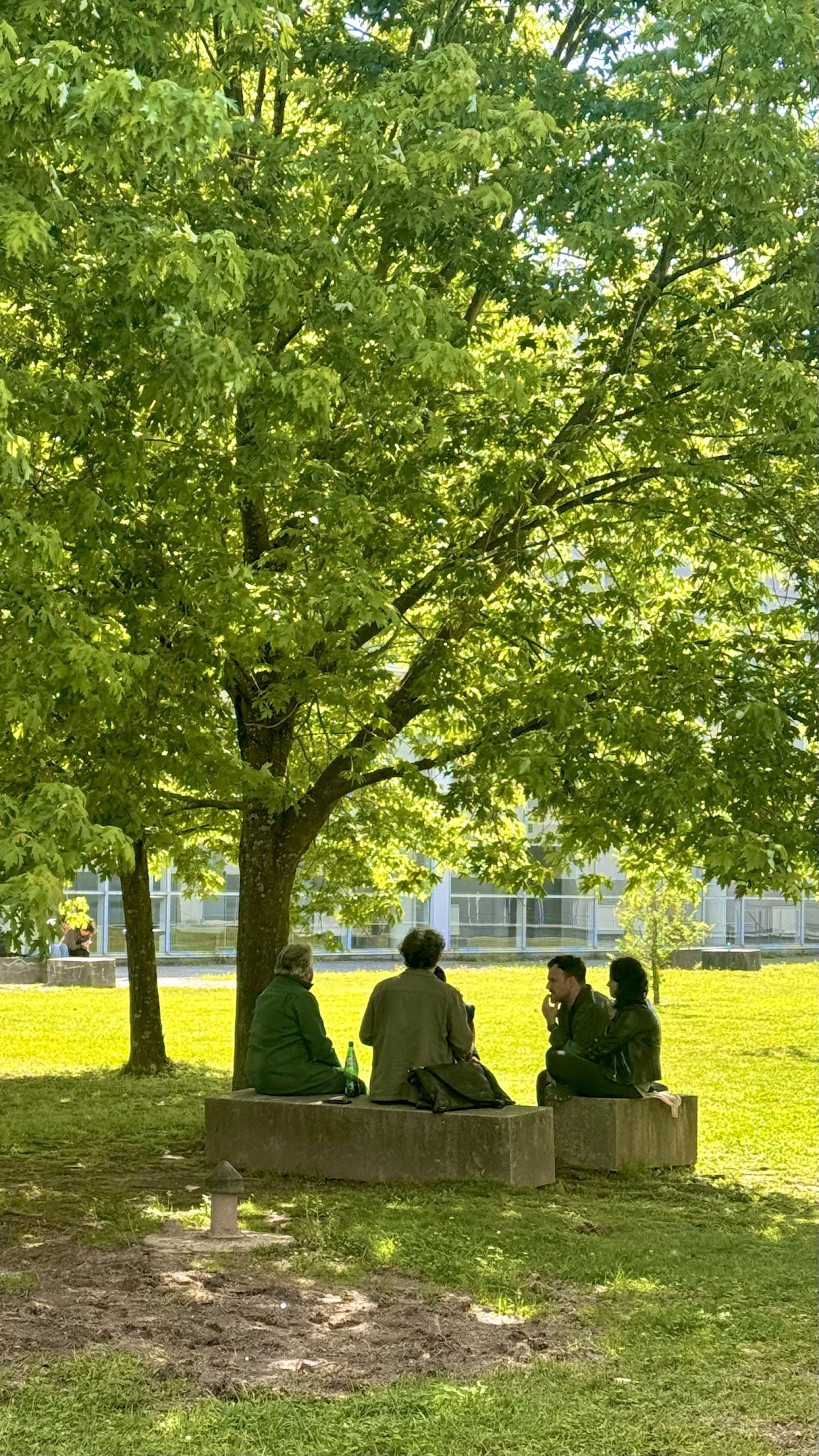 Faculty of Engineering of the University of Porto (FEUP) photo 9
