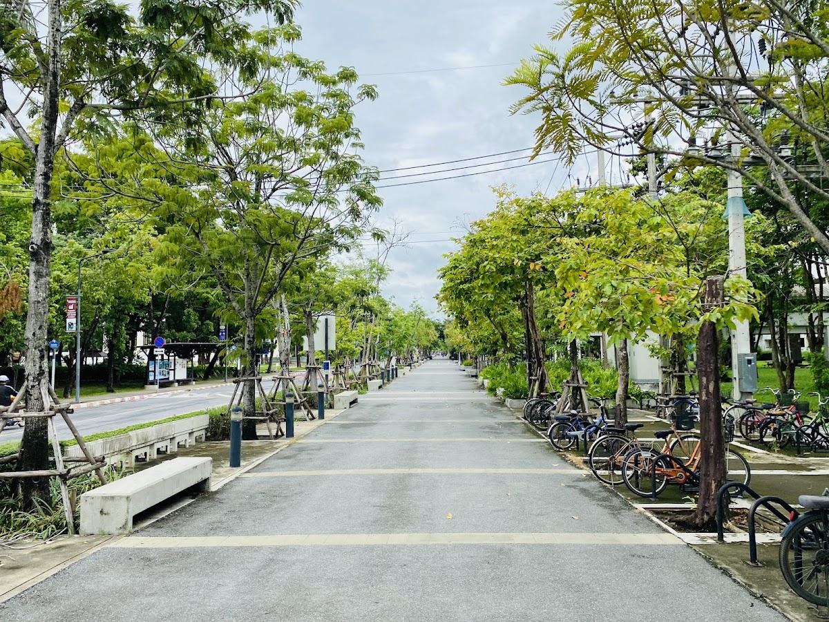 Mahidol University photo 3