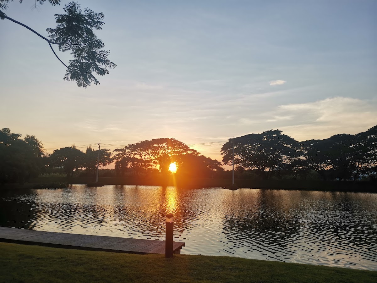 Mahidol University photo 7