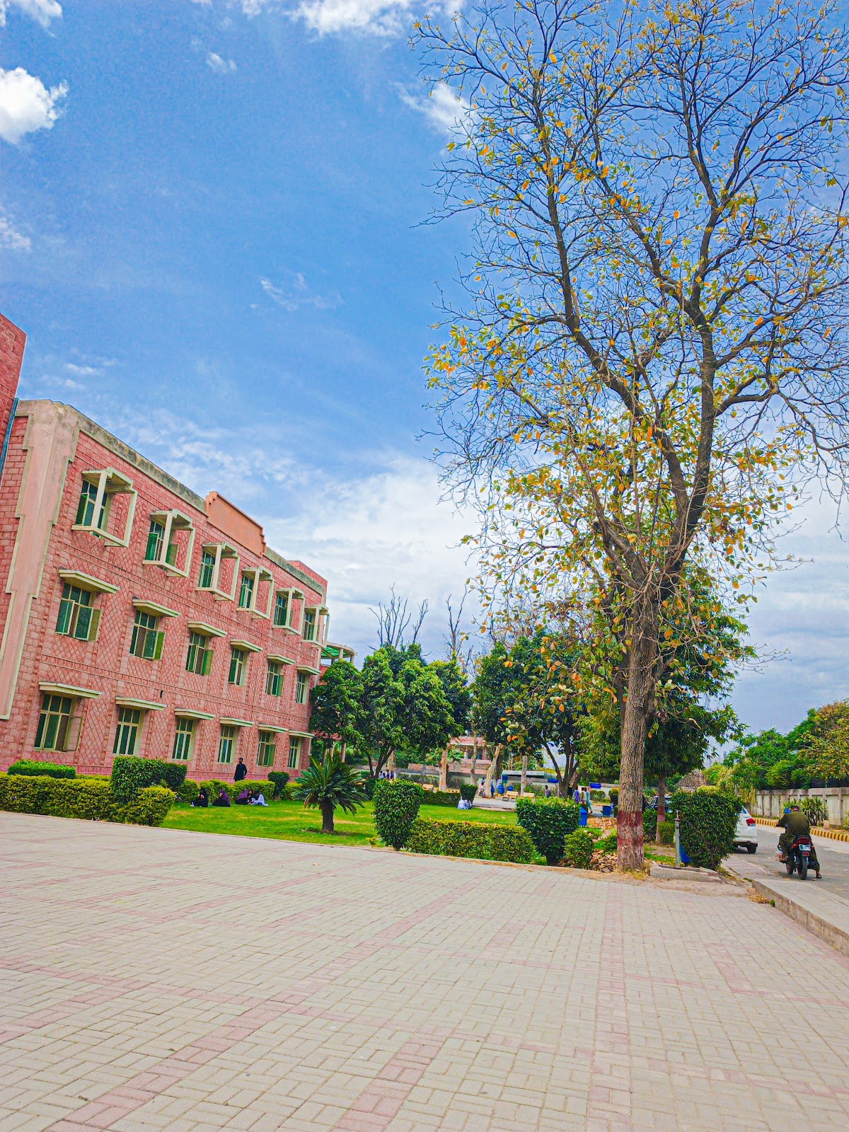University of Sargodha photo 9