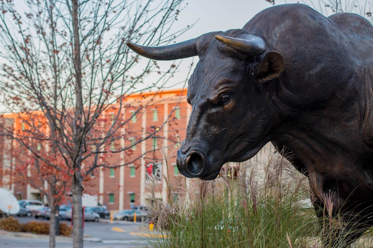 University of Nebraska Omaha photo 4