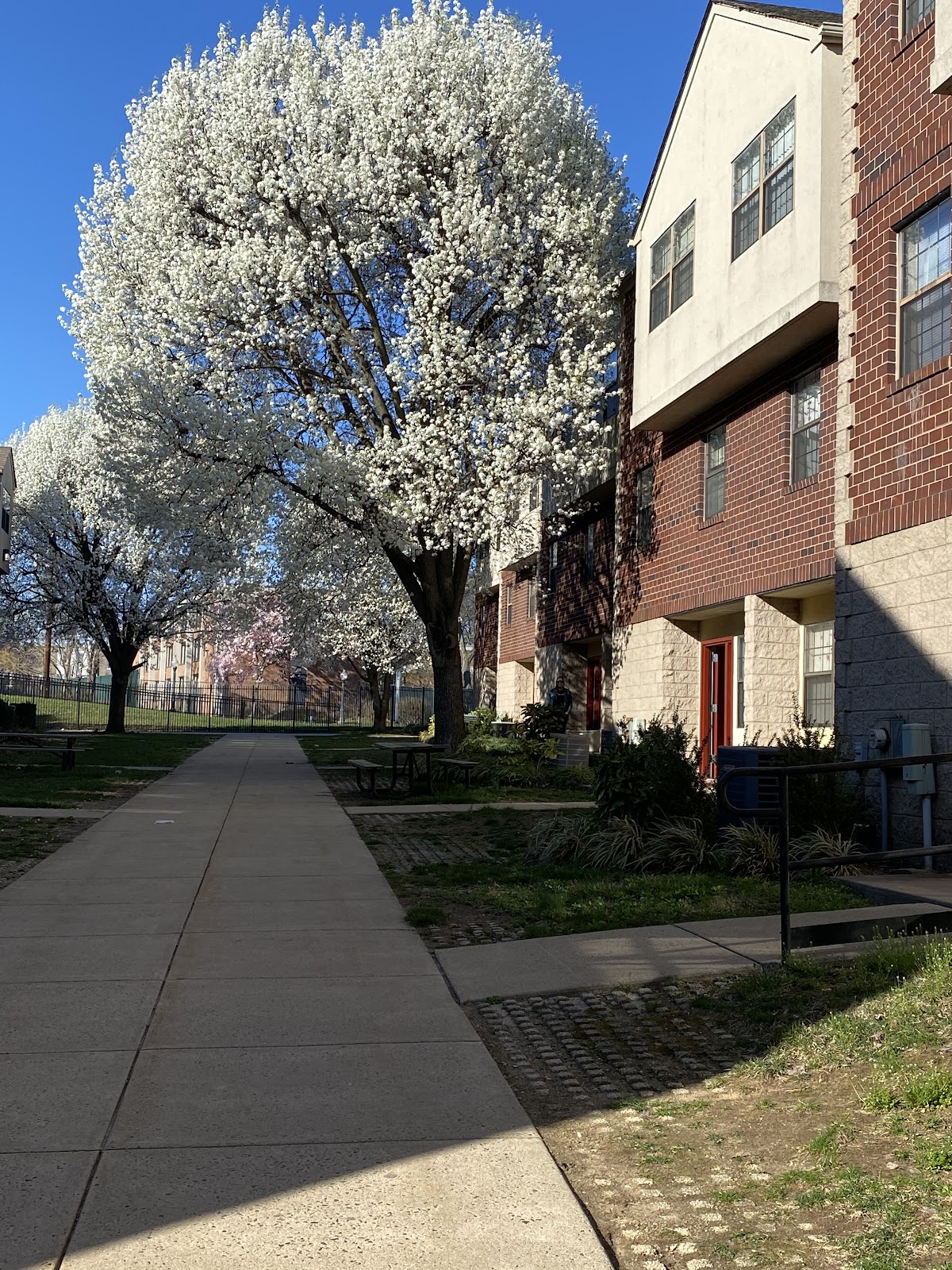 La Salle University photo 8