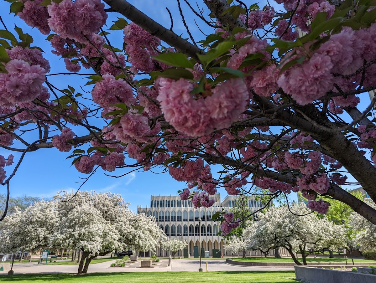 State University 2905 photo 9