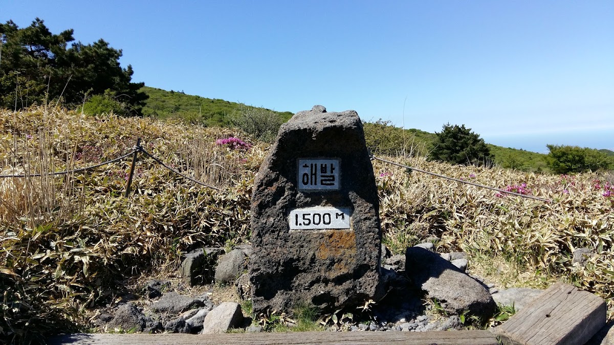 Hallasan University photo 2