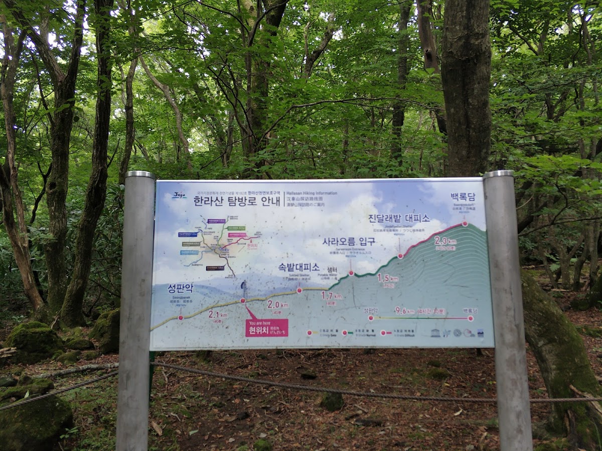 Hallasan University photo 4