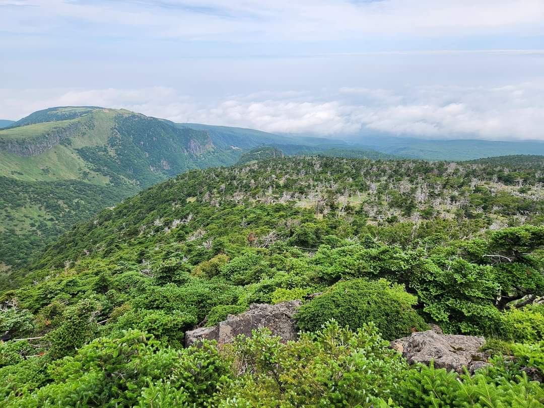 Hallasan University photo 6