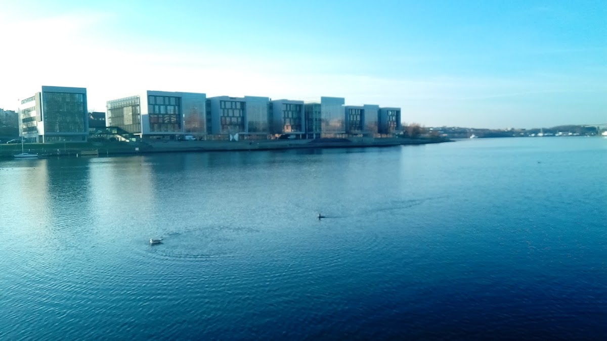 Southern Denmark Business Academy photo 2