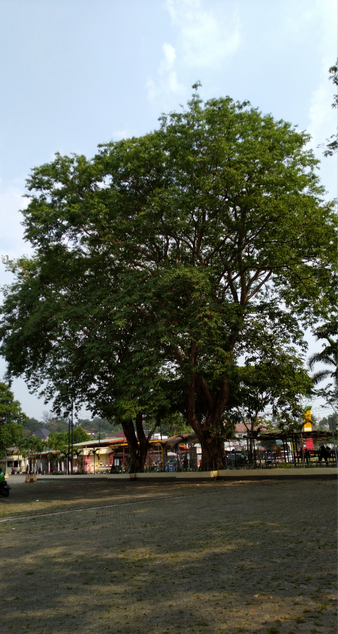 Universitas Sriwijaya photo 9