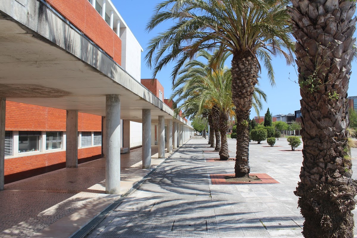 University of Aveiro photo 3