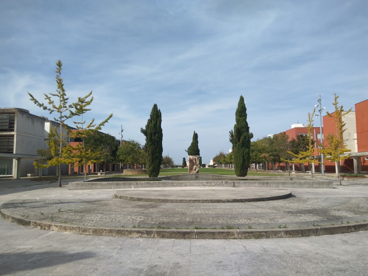 University of Aveiro photo 7