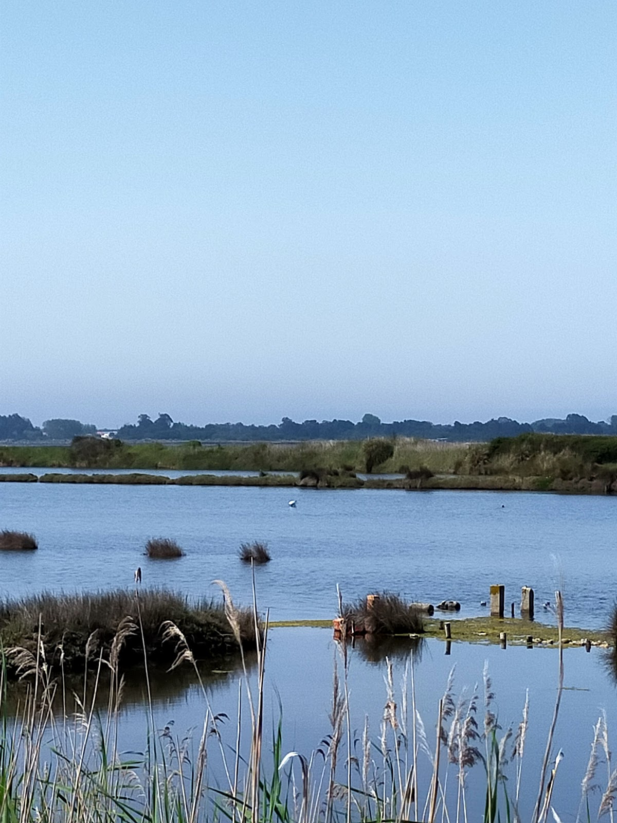 University of Aveiro photo 8