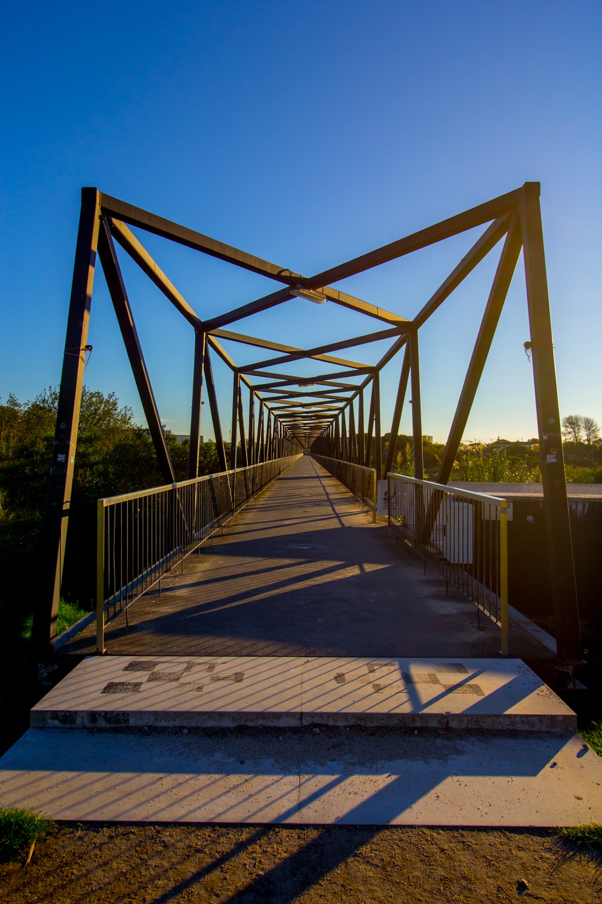 University of Aveiro photo 9