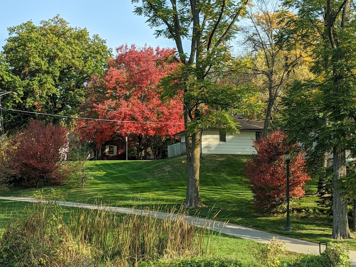 University of Iowa photo 6