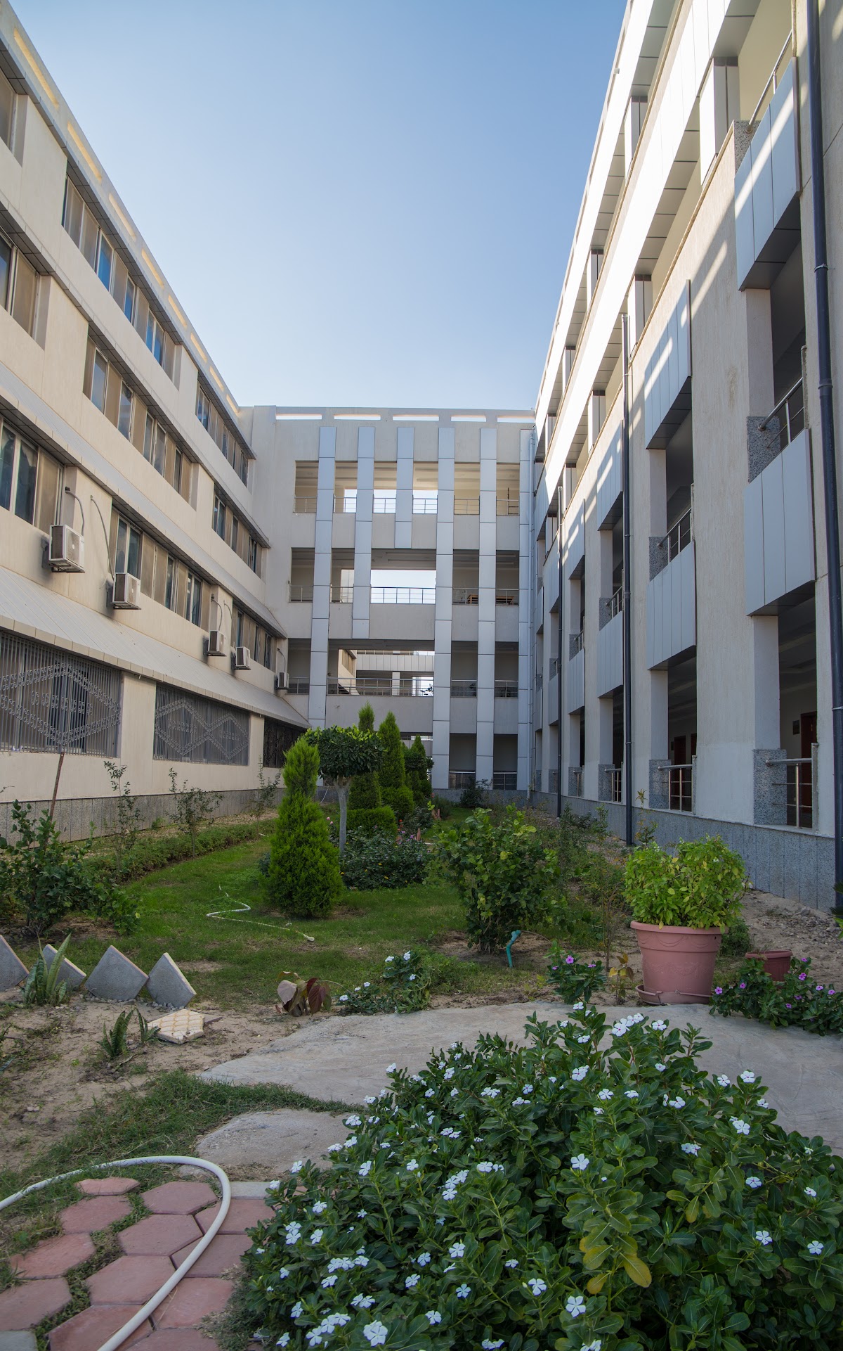 Damietta University photo 9
