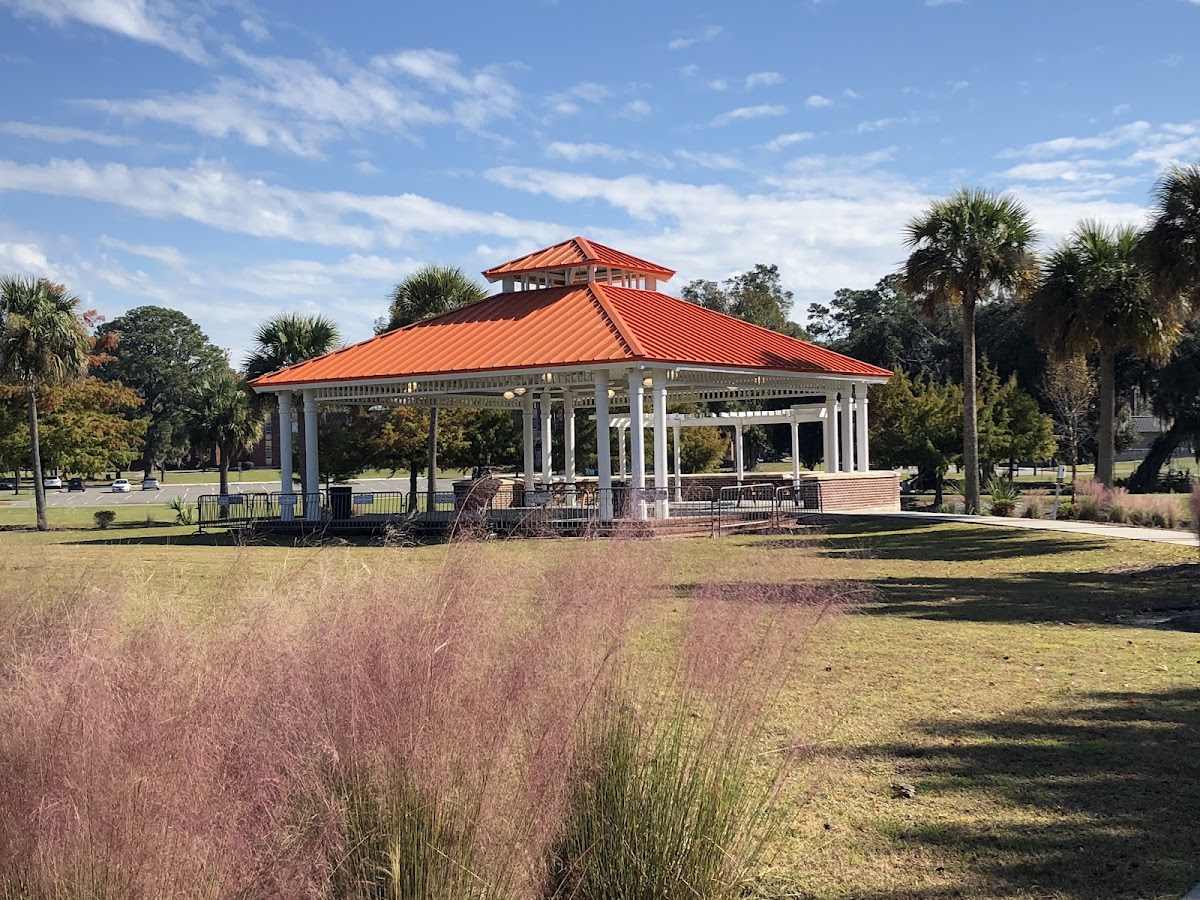 Savannah State University photo 8