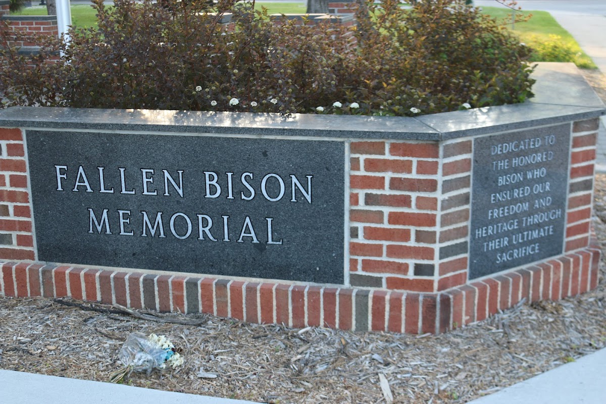 North Dakota State University photo 3