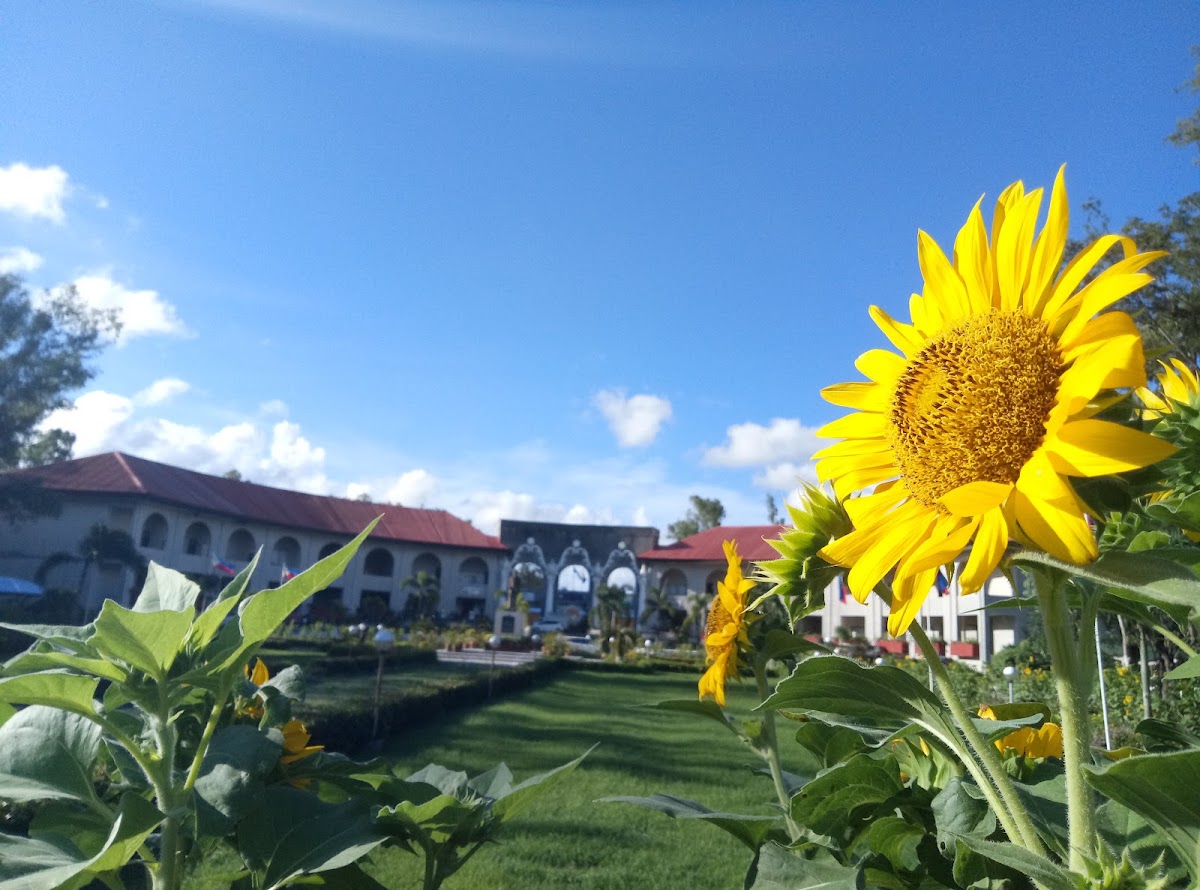 Mariano Marcos State University photo 3