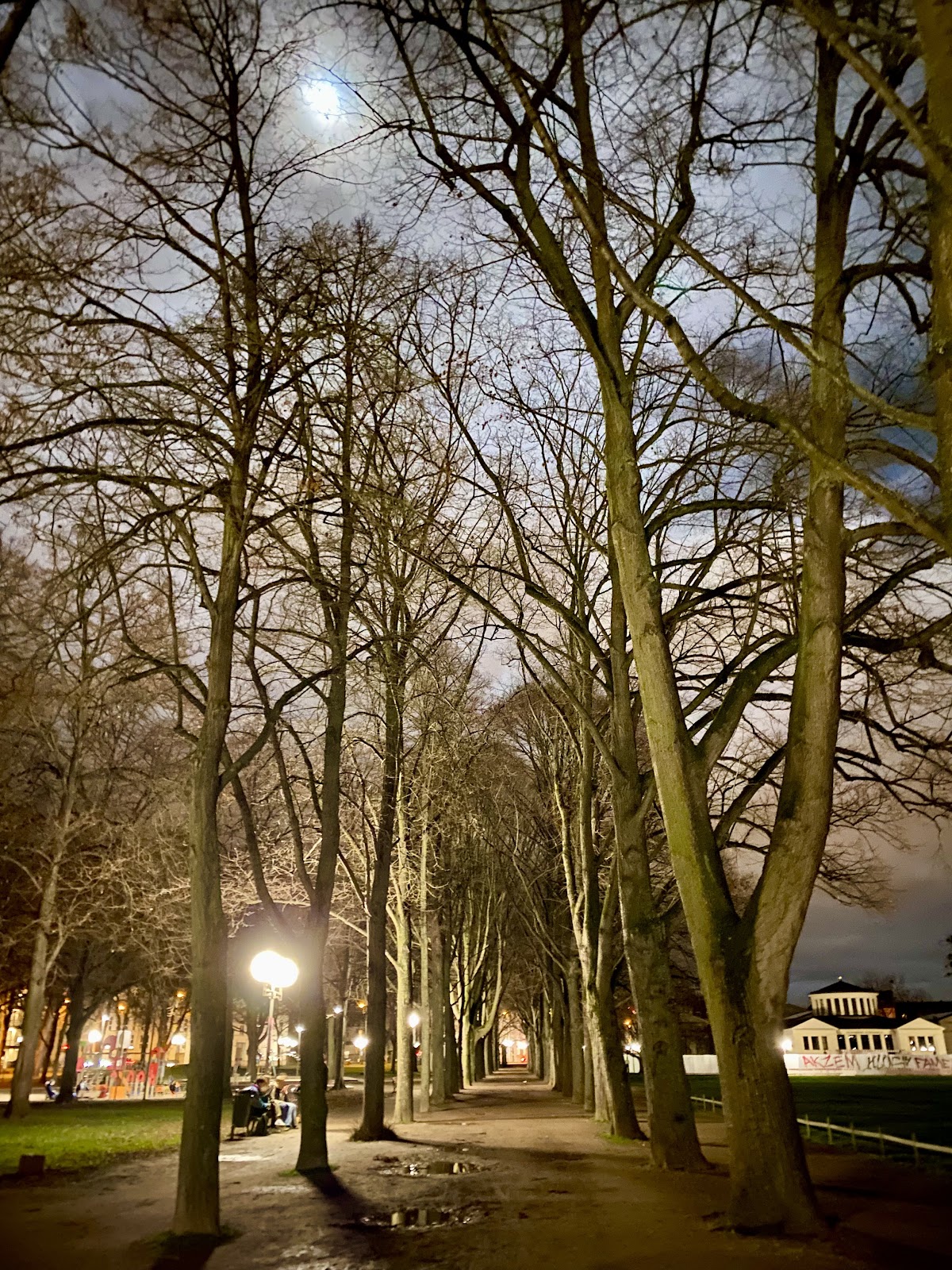 University of Bonn photo 7