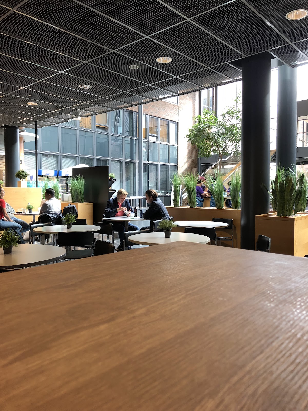 Haaga-Helia University of Applied Sciences photo 8