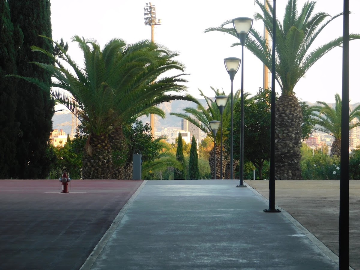 University of Murcia photo 6