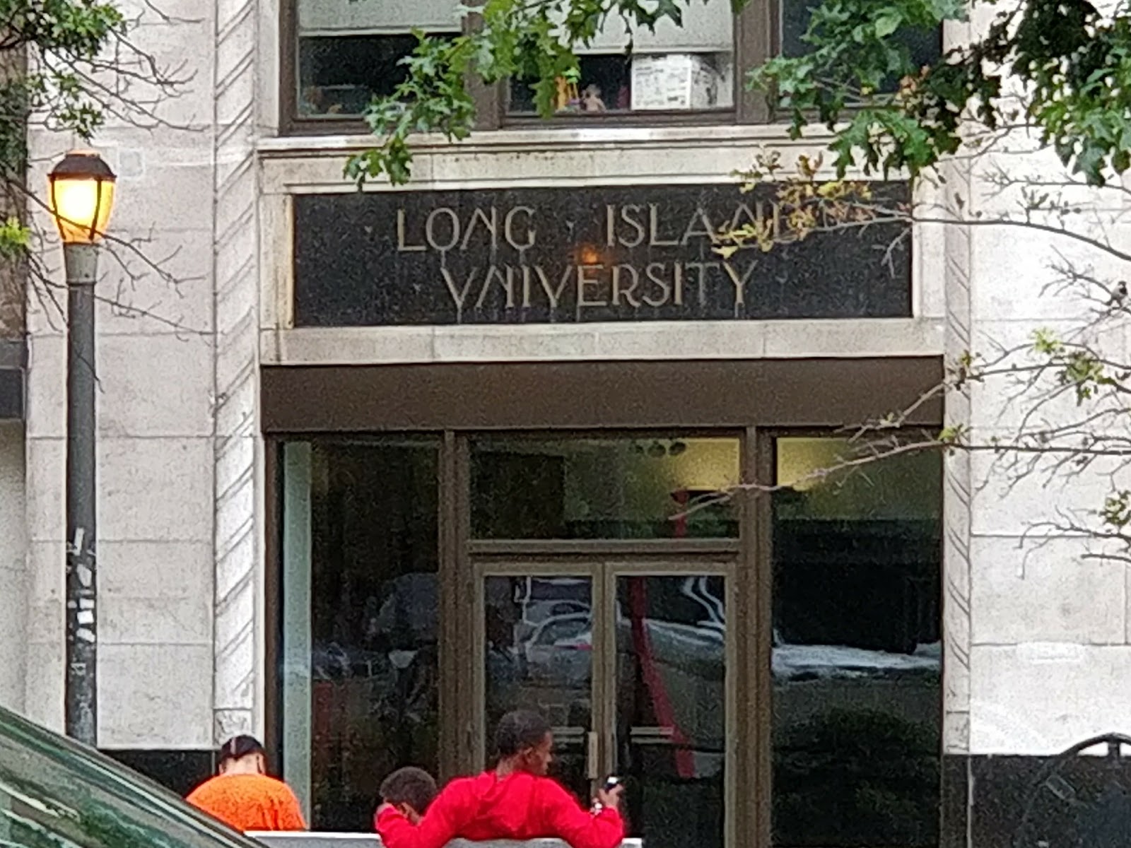 Long Island University