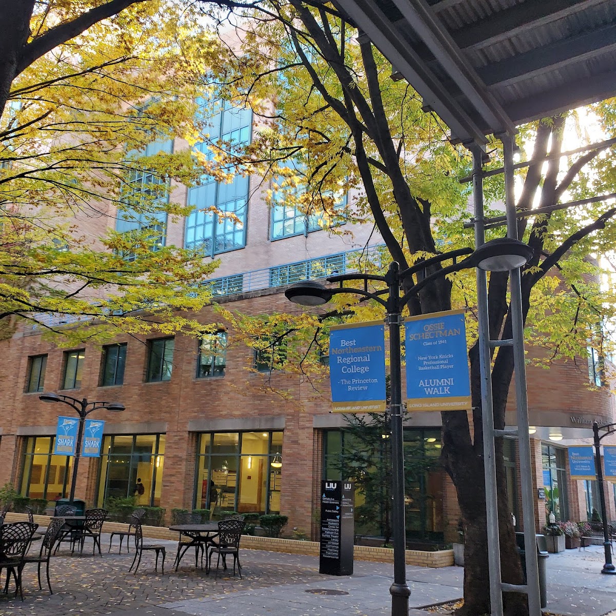 Long Island University photo 5