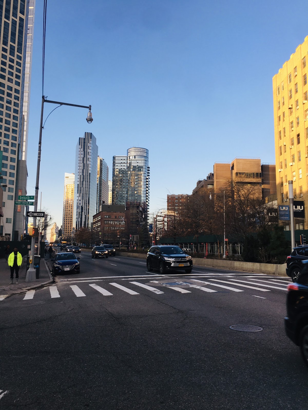 Long Island University photo 7