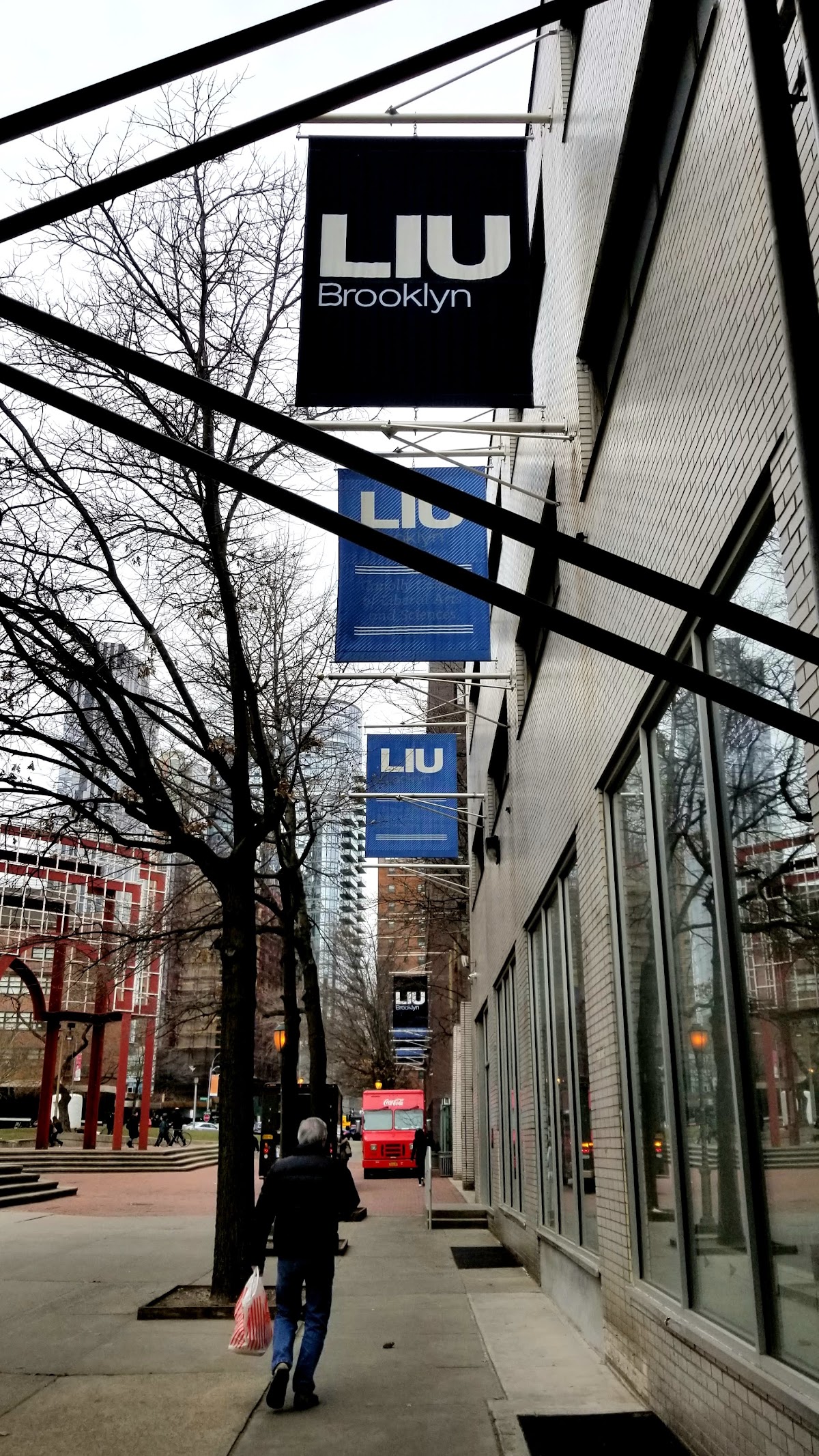 Long Island University photo 8