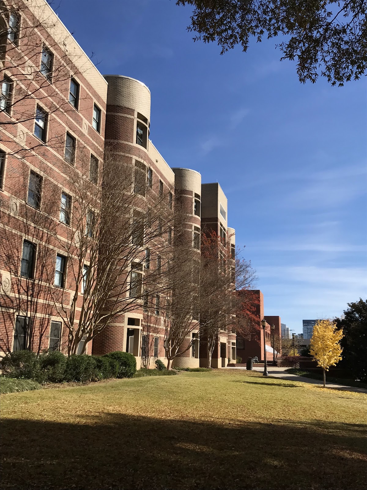 Institute of Technology 1619 photo 8