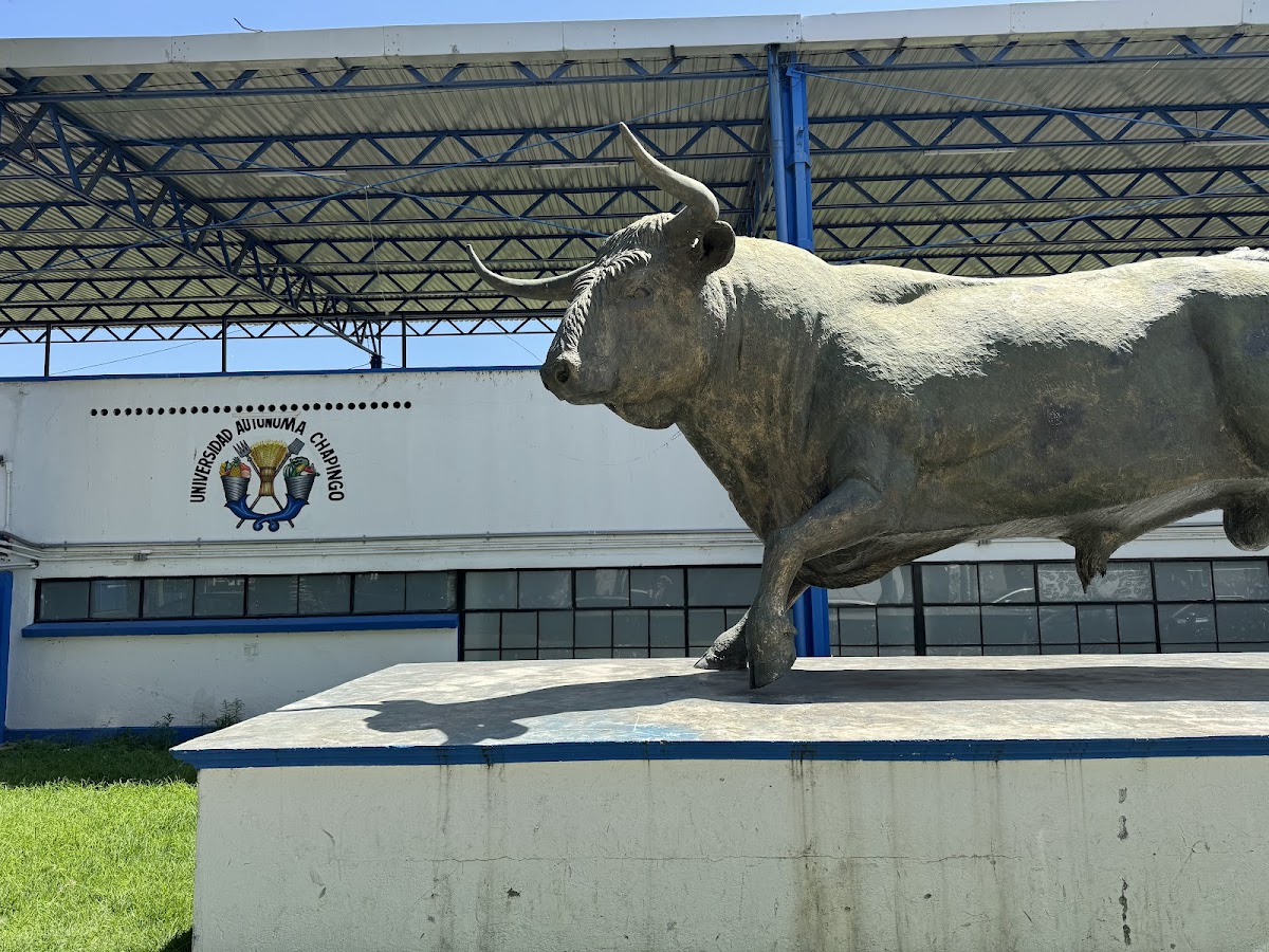 Autonomous University of Chapingo photo 6