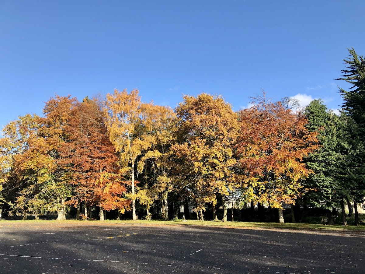 Milltown Institute of Theology and Philosophy photo 2