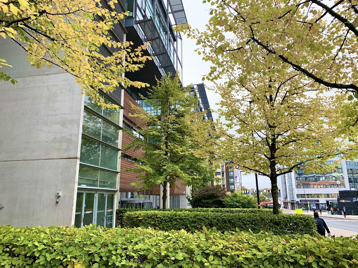 BI Norwegian Business School photo 7