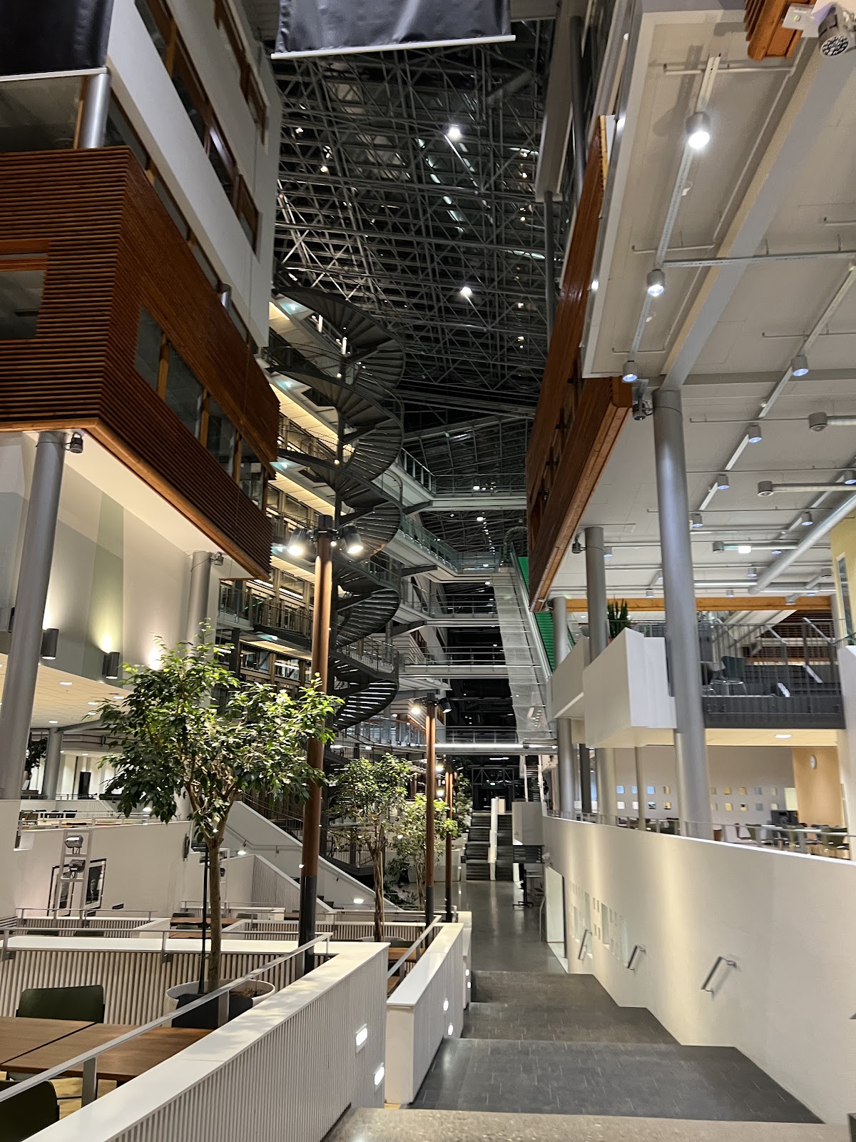 BI Norwegian Business School photo 9