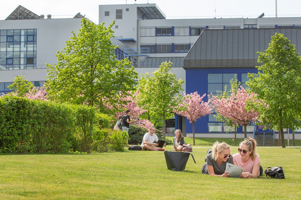 University of West Bohemia photo 4