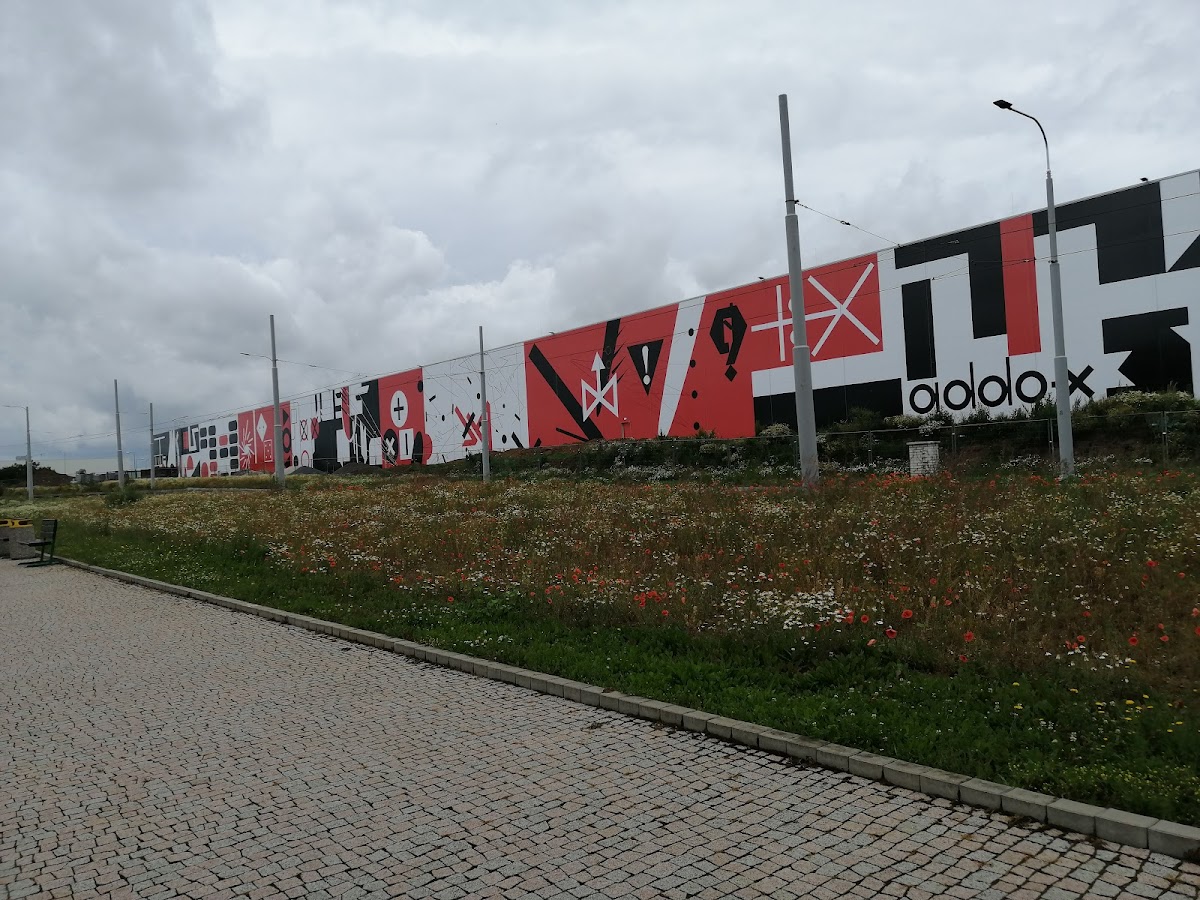 University of West Bohemia photo 7