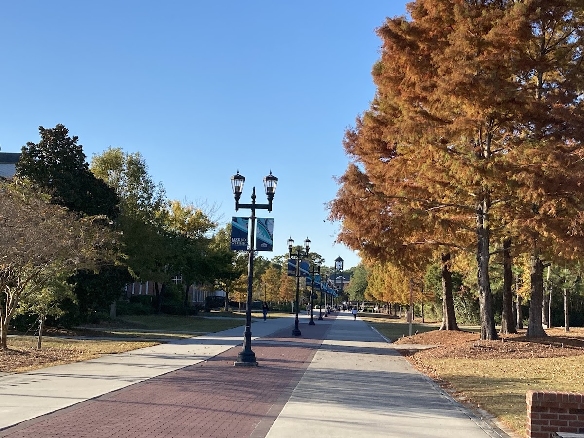 UNC Wilmington photo 6