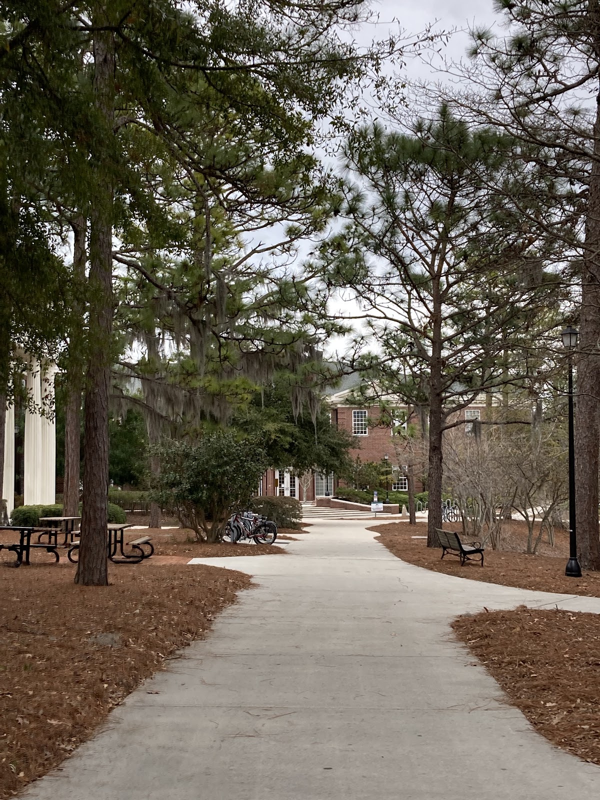 UNC Wilmington photo 8