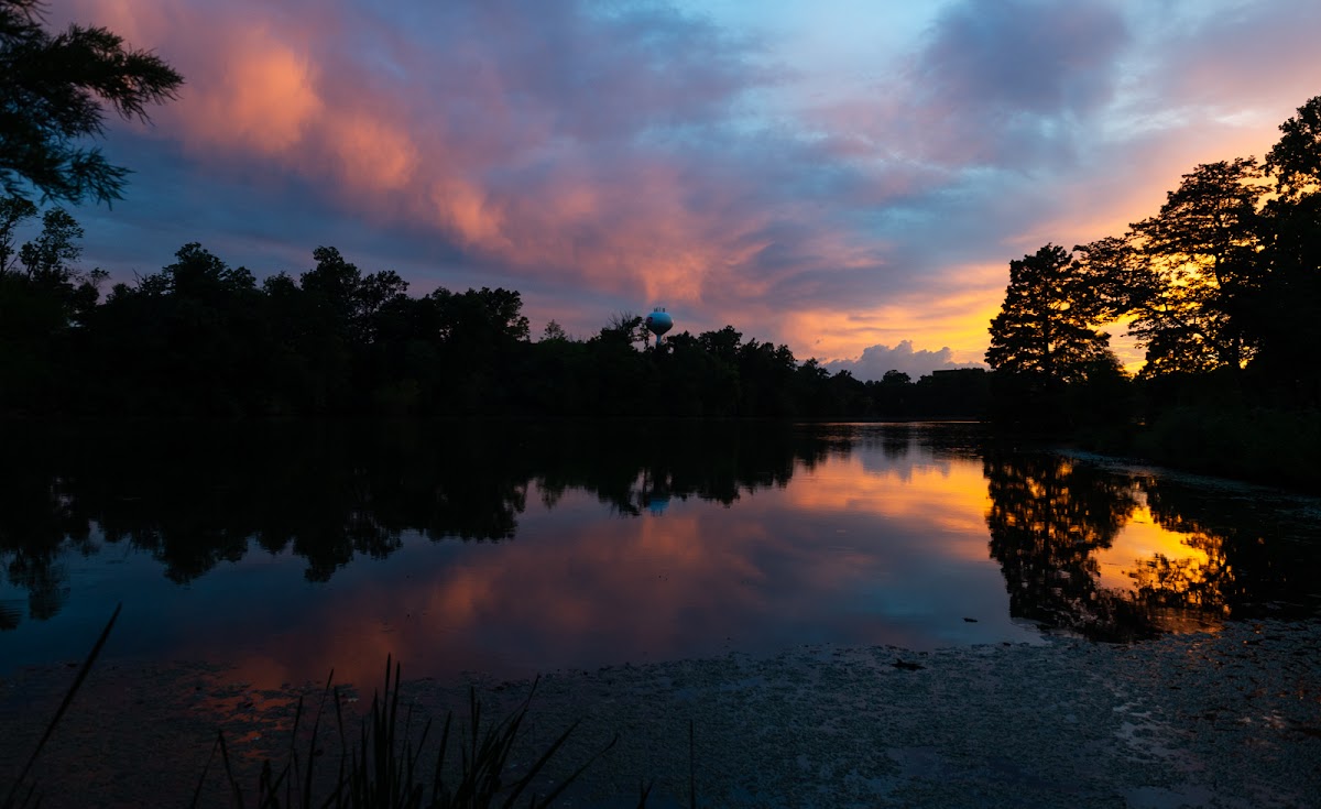 Southern Illinois University Edwardsville photo 2