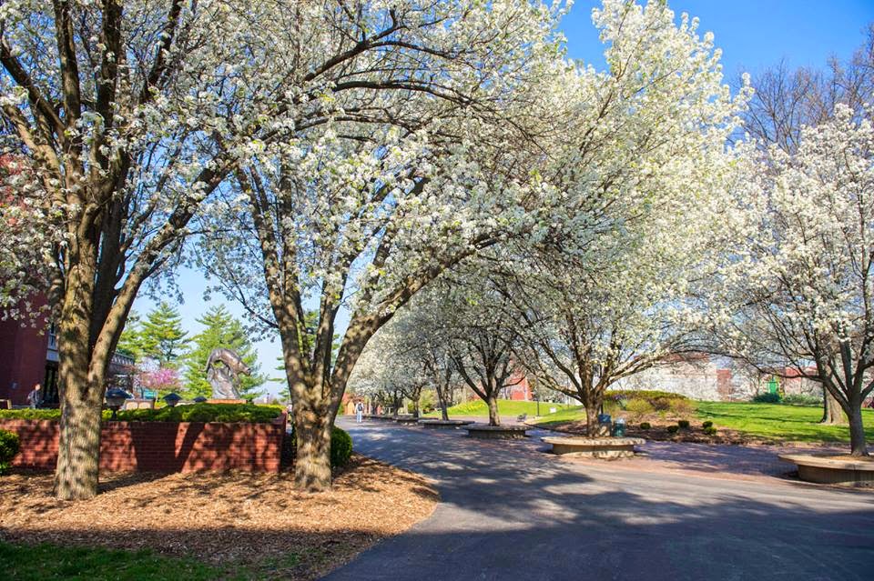 Southern Illinois University Edwardsville photo 4
