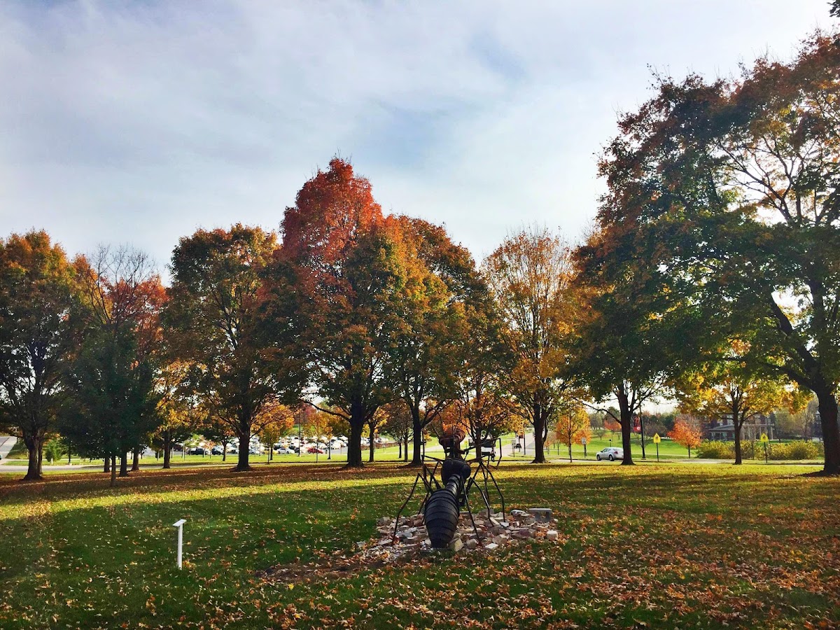 Southern Illinois University Edwardsville photo 6