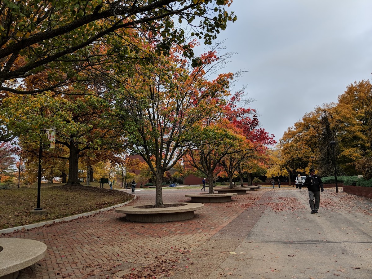 Southern Illinois University Edwardsville photo 7