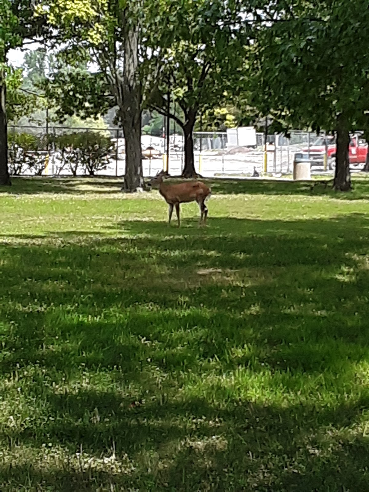 Southern Illinois University Edwardsville photo 9