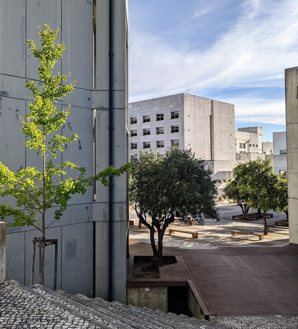 ISCTE – University Institute of Lisbon photo 8