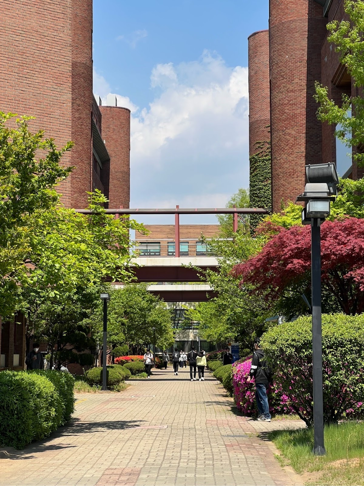 Korea Polytechnic University photo 9