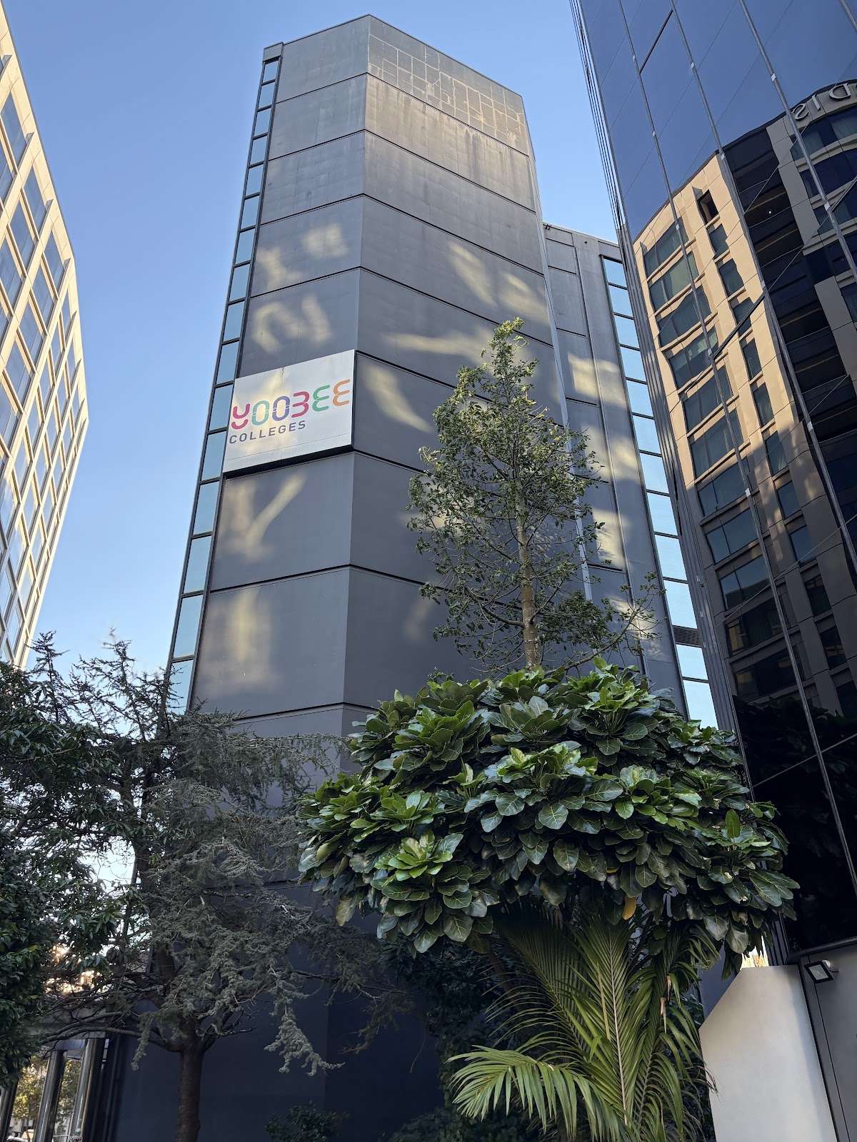 Yoobee Colleges photo 7