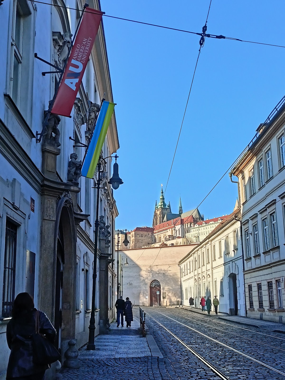 Anglo-American University photo 9