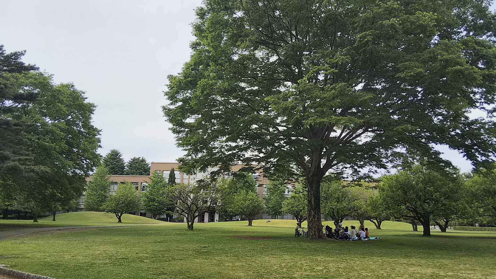 International Christian University