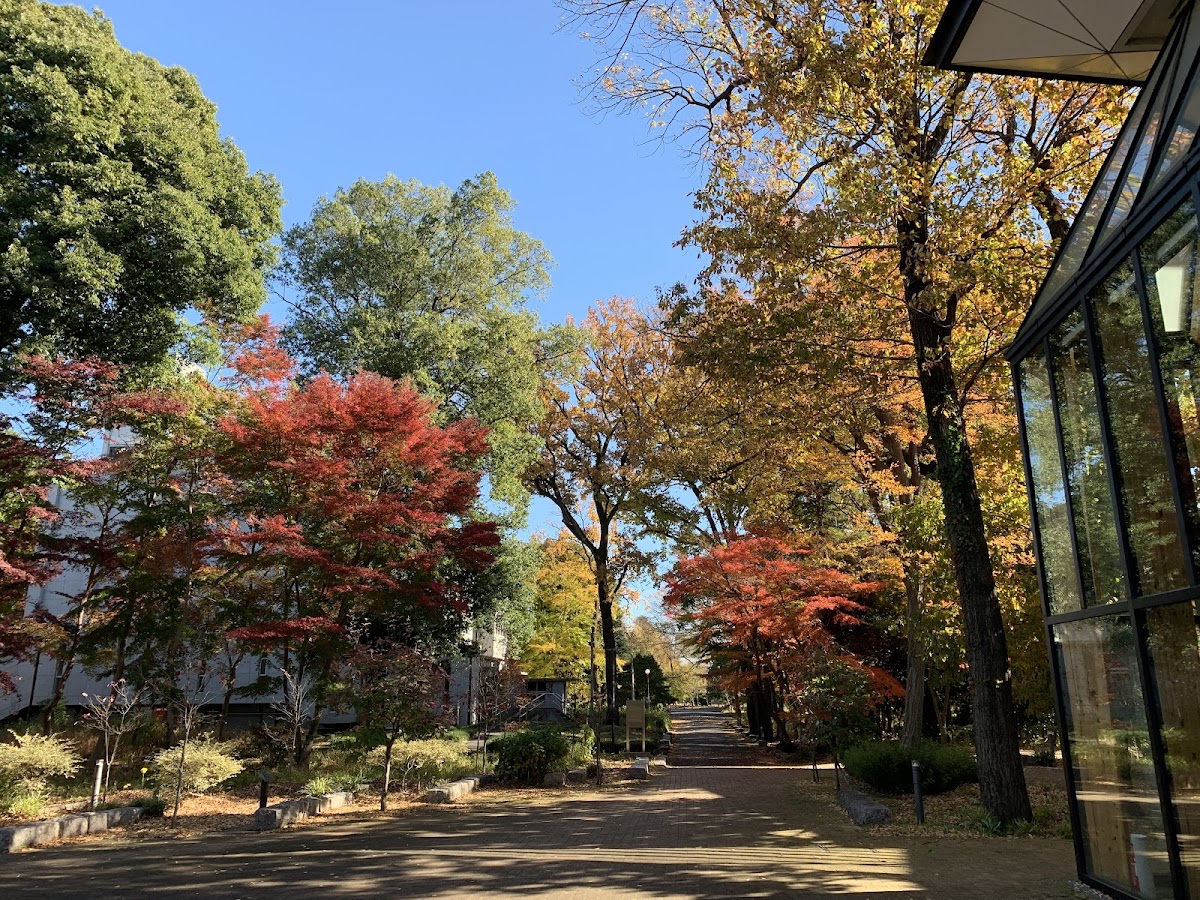 International Christian University photo 4