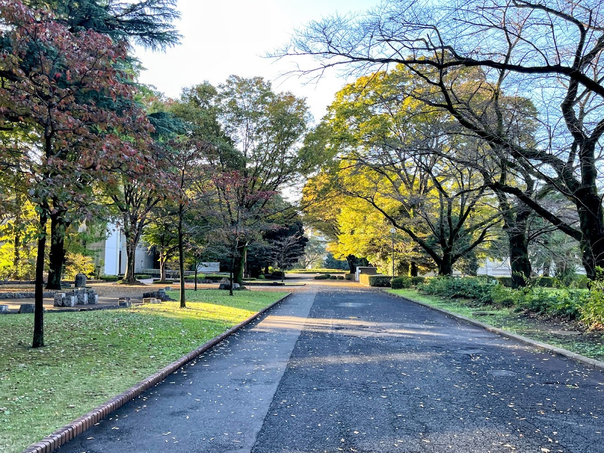 International Christian University photo 7