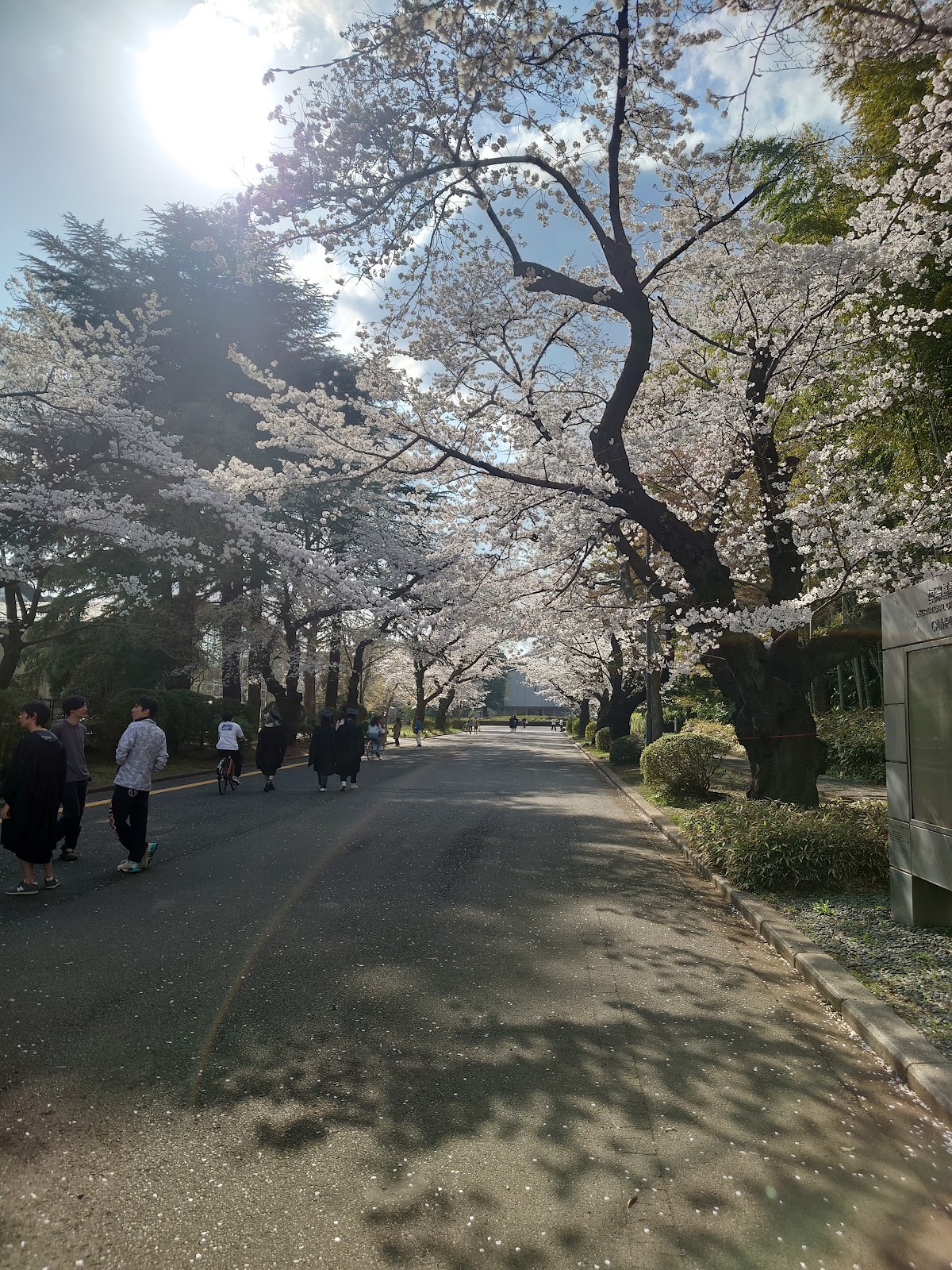 International Christian University photo 9